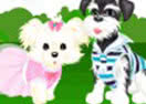 Dog Models