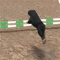 Jogos de Cães no Jogos 360