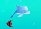 Dolphin Adventures