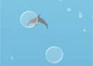 Dolphin Dive 2