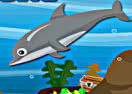 Dolphin Dive