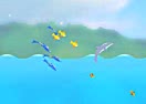 Dolphin Olympics