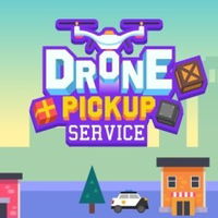 Drone Pickup Service