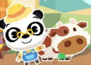 Dr Panda Farm