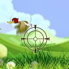 Duck Shooter