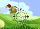 Duck Shooter