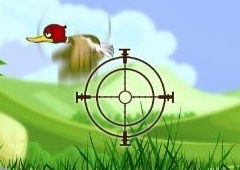Duck Shooter