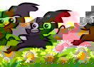 Ducky Adventure