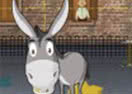 Dungfoo Donkey