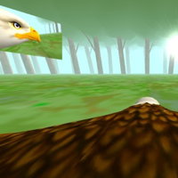 Eagle Ride