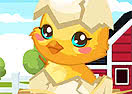 Easter Baby Chick Care