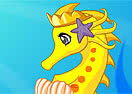 Elegant Sea Horse