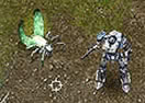 Excited Insects