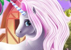 Fairy Pony Caring Adventure