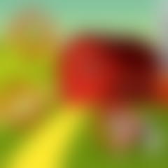 Farm: Spot the Difference