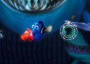 Finding Dory: Spot the Differences