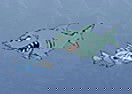 Fish Food