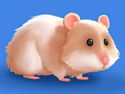 Jogos de Hamster