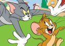 Jogos do Tom e Jerry