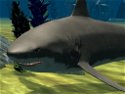 Jogos de Tubarão 3D