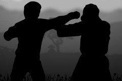 5 jogos de luta parecidos com Shadow Fight