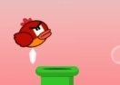 Flappy Birdy