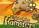 Flight Of The Hamsters