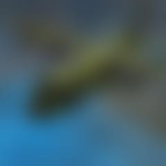 Flight Simulator C130 Training