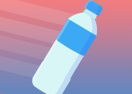 Flip Bottle