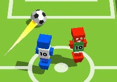 Flip Goal