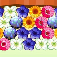 Flower Power 2