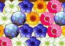 Flower Power 2
