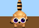 Flying Squirell