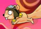 Fly Squirrel Fly