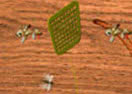 Fly Swatter