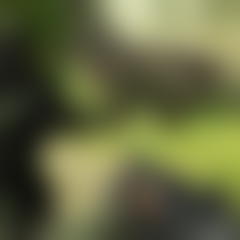 FPS Shooting Survival Sim