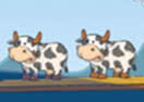 Freaky Cows