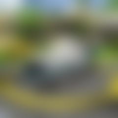 Free Helicopter Flying Simulator