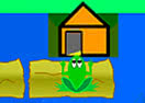 Frog Hopper