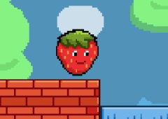 Fruit Adventure