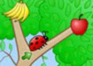 Fruity Bugs