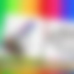 Funny Animals Coloring Book