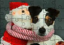 Funny Christmas Dogs