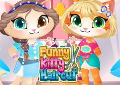 Funny Kitty Haircut