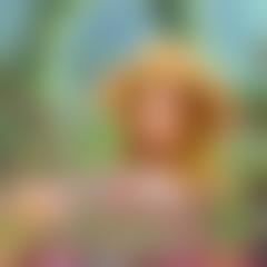 Garden Secrets Differences