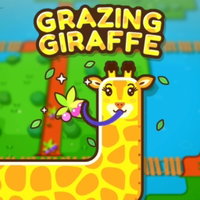 Grazing Giraffe