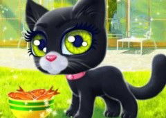 Happy Cat