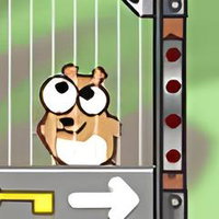 Harry The Hamster