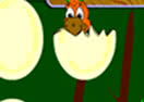 Hatch e Match