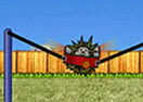 Hedgehog Launch